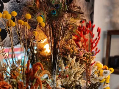 Fleurs séchées
